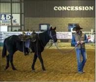  ?? (Arkansas Democrat-Gazette/Stephen Swofford) ?? Jeremy Teague of Sheridan leads a horse into the arena during Saturday’s auction of horses being retired by the Arkansas Division of Correction.