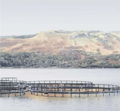  ??  ?? 0 A fish farm at Loch Melfort in Argyll. The industry is worth £1 billion to the Scottish economy and hopes to double production by 2030