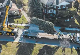  ?? ZBIGNIEW BZDAK/CHICAGO TRIBUNE ?? Workers are preparing to transport the 45-foot blue spruce tree donated by Catherine Townsend, 85, of Chicago’s Morgan Park neighborho­od on Friday. The tree is going to be the Chicago’s “official” Christmas tree.