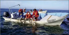  ?? LOANED PHOTO ?? FISHERMEN FROM EL GOLFO DE SANTA CLARA HAUL IN A CATCH in the Sea of Cortez. The effects of fishing bans on the economy of El Golfo will be the subject of a public forum on Jan. 12 in Rocky Point, Son.