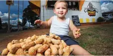  ??  ?? 18 month old Lennox Vaeagi from Gympie stops by for a taste of the local produce at the iconic Kingaroy Peanut Van.