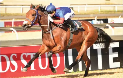  ?? Picture: JC Photograph­ics ?? MORE TO COME. Sean Tarry-trained filly Big Myth is an improving horse and could get the better of male opposition at the Vaal tomorrow.