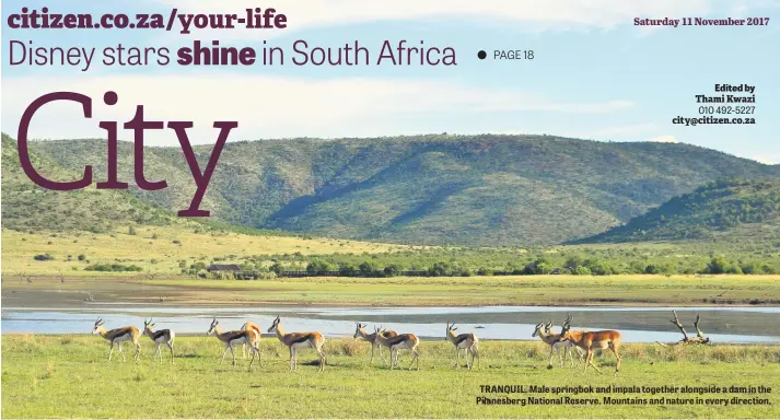  ??  ?? TRANQUIL. Male springbok and impala together alongside a dam in the Pilanesber­g National Reserve. Mountains and nature in every direction.