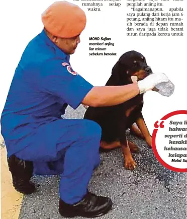  ??  ?? MOHD Sufian memberi anjing liar minum sebelum beredar.