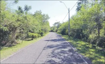  ??  ?? Una valiosa flora y fauna quedará reducida a cero tras las obras del MOPC.