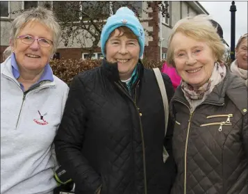  ??  ?? Jackie Morgan, Margaret Furlong and Kay Kellegher at the recent New Ross Captains’ drive-in.