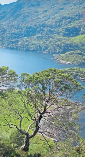  ??  ?? edge of remote Knoydart in the Western Highlands