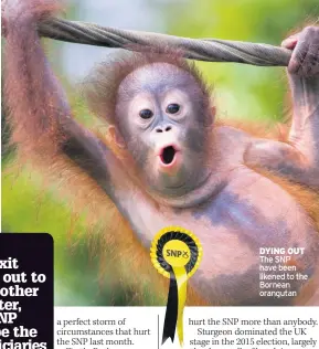  ??  ?? DYING OUT The SNP have been likened to the Bornean orangutan