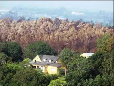  ?? BURNT LANDSCAPE ?? The recent Outeniqua fires focused regional efforts on the ecological infrastruc­ture and the services they provide to us, such as reliable supplies of water and productive land.|