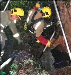  ??  ?? SAVED: A firefighte­r is winched down the shaft to rescue the badger, above left