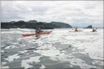  ??  ?? California’s accessible North Coast seabird habitat is vulnerable to potential human disturbanc­es that include kayaking, fishing boats, low flying airplanes, drones, human movement on low tide or climbing rocks.