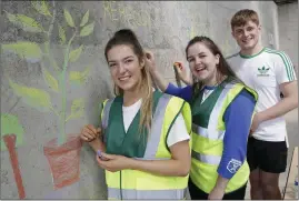  ??  ?? Rachel Winters, Eimear Douglas and Brian Short decorating the barn walls.