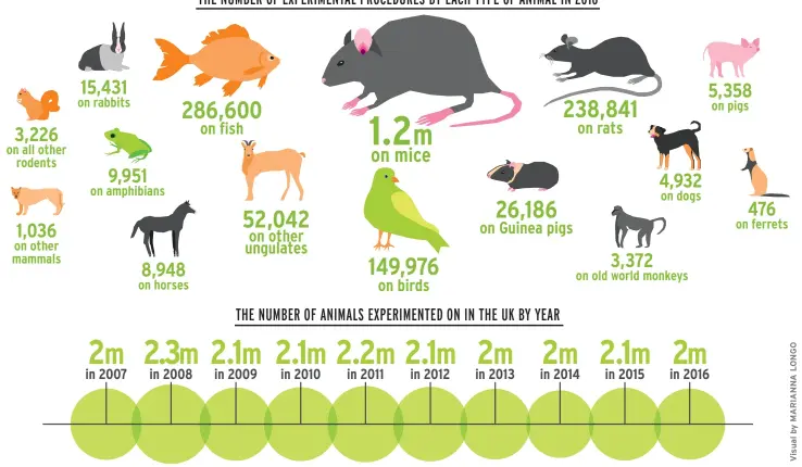  ??  ?? THE NUMBER OF EXPERIMENT­AL PROCEDURES BY EACH TYPE OF ANIMAL IN 2016