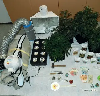  ??  ?? Coltivazio­ne Il sequestro della polizia: 4 piante di cannabis, soldi, una piccola serra con lampada, aeratore e umidificat­ore