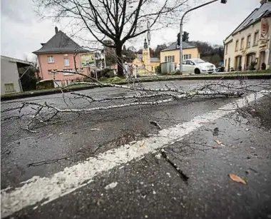  ?? Fotos: Gerry Huberty ?? Mehrere Straßen waren wegen umgefallen­er Bäume zeitweise nicht passierbar. Andernorts fiel „nur“Geäst auf Straßen und Parkplätze.