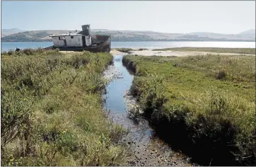  ?? PHOTOS BY ALAN DEP — MARIN INDEPENDEN­T JOURNAL ?? The S.S. Point Reyes shipwreck sits near Martinelli Park in Inverness. Federal sea-level rise projection­s show that much of the Tomales Bay shoreline will flood regularly in the coming decades.