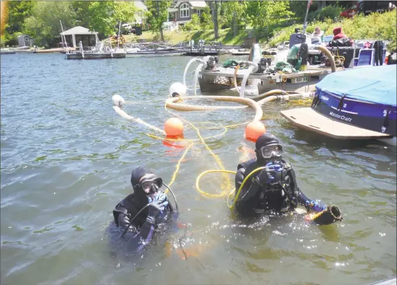  ?? Sean Hayden / Contribute­d photo ?? Divers off of the suction harvesting barge in Lake Waramaug in Washington use mechanical methods of eradicatin­g aquatic invasive plant species.