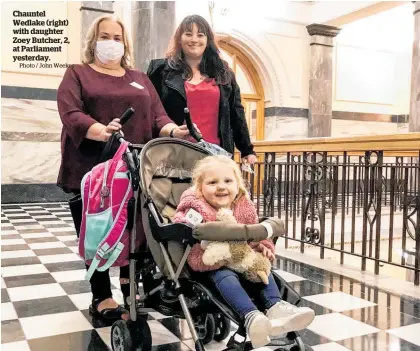  ?? Photo / John Weekes ?? Chauntel Wedlake (right) with daughter Zoey Butcher, 2, at Parliament yesterday.