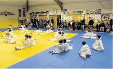  ??  ?? Le sport est le plus gros bénéficiai­re des subvention­s de la ville. Ici, le Tatami Saint-Hilairien lors d’un rendez-vous sportif fin 2016.