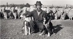  ??  ?? 1986 Die herder mnr. Dawie Nkothla sê as hy sonder sy honde moes werk, sou hy wees “soos ’n man wat sonder ’n byl bos toe gaan om hout te kap”. Hy werk op mnr. Bennie Strydom se plaas by Grahamstad.