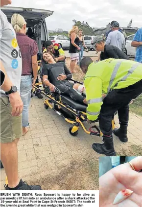  ??  ?? BRUSH WITH DEATH: Ross Spowart is happy to be alive as paramedics lift him into an ambulance after a shark attacked the 19-year-old at Seal Point in Cape St Francis INSET: The tooth of the juvenile great white that was wedged in Spowart’s shin