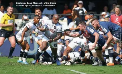  ?? ?? Breakaway: Bongi Mbonambi of the Sharks in action against Munster at the weekend