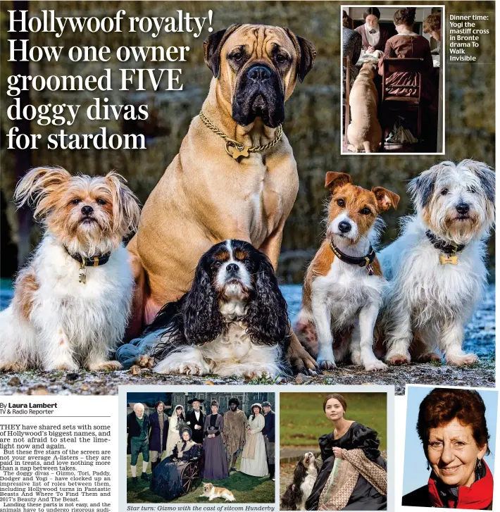  ??  ?? Star turn: Gizmo with the cast of sitcom Hunderby Royal command: Tori with Jenna Coleman in ITV drama Victoria Dinner time: Yogi the mastiff cross in Bronte drama To Walk Invisible Dedicated trainer: Gill Raddings