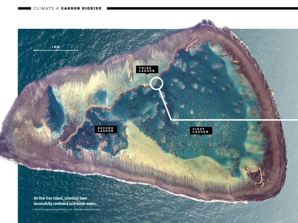  ?? ONE TREE ISLAND RESEARCH STATION/UNI. OF SYDNEY/CARNEGIE SCIENCE ?? 1KM
On One Tree Island, scientists have successful­ly combated acid ocean water.
SECOND LAGOON
THIRD LAGOON
FIRST LAGOON