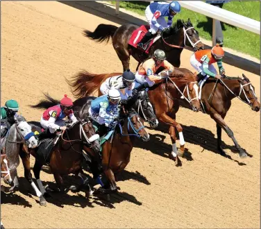  ??  ?? Horses take off at the start of the fifth race. Truculent, ridden by Francisco Arrieta, was the winner.