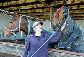  ?? ROBYN EDIE/STUFF ?? Invercargi­ll trainer Gay Robinson with Sandy Cool, left, and Just Henri who are possible contenders for the $70,000 Southland Guineas at Ascot Park in February.