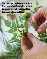  ??  ?? Tie tiny spring blooms onto a fern frond with garden string to make a pretty decoration for each place setting.