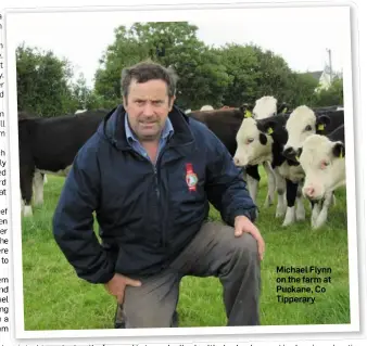  ??  ?? Michael Flynn on the farm at Puckane, Co Tipperary