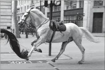  ?? JORDAN PETTITT/PA VIA AP ?? A white horse on the loose Wednesday bolts through the streets of London near Aldwych.