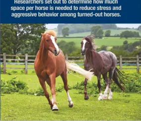  ??  ?? Researcher­s set out to determine how much space per horse is needed to reduce stress and aggressive behavior among turned-out horses.