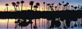  ?? JOE BURBANK/ORLANDO SENTINEL FILE ?? Morning clouds are reflected over a stand of cypress and cabbage palm trees in Orlando.