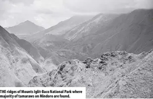  ?? ?? THE ridges of Mounts Iglit-baco National Park where majority of tamaraws on Mindoro are found.