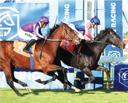  ?? Picture: Wayne Mark ?? TIGHT FINISH. Gem King edged out Future Prince in the first leg of the Winter Series and the WSB Legal Eagle Stakes at Kenilworth tomorrow should be closely contested again.