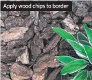  ??  ?? Apply wood chips to border