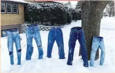  ??  ?? Frozen pairs of jeans stand unsupporte­d in Saint Anthony Village, Minnesota, the US. REUTERS