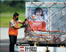  ?? JOSE CABEZAS / REUTERS ?? An airfreight worker unwraps a container of China’s Sinovac vaccines at the Oscar Arnulfo Romero Internatio­nal Airport in San Luis Talpa, El Salvador, on Wednesday.