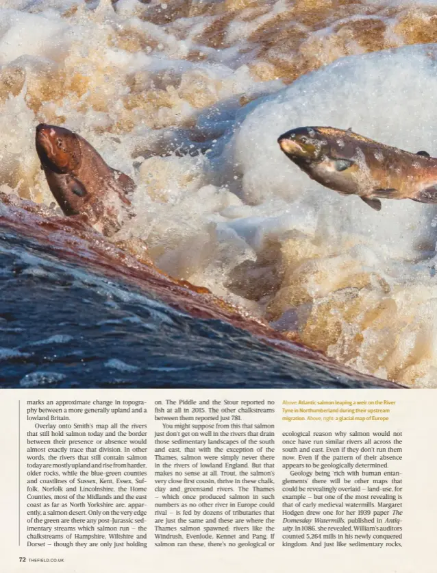  ??  ?? Above: Atlantic salmon leaping a weir on the River Tyne in Northumber­land during their upstream migration. Above, right: a glacial map of Europe