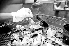  ??  ?? A dishwasher at Daniel, a restaurant in Manhattan, cleans silverware during dinner service.