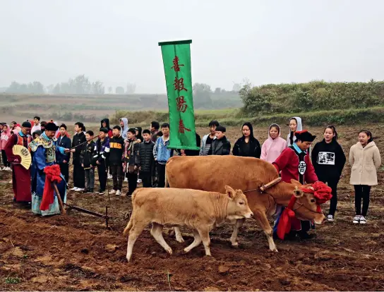  ??  ?? Antes de la ceremonia del azote al buey de primavera, el magistrado local elige el campo de una familia a la que se le ayudará con el arado.