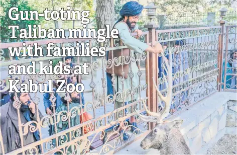  ?? — AFP photos ?? A Taliban fighter touches a deer in its enclosure at the Kabul Zoo.