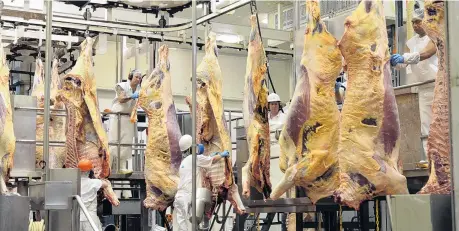  ?? PHOTO: STEPHEN JAQUIERY ?? Growing trade . . . Beef carcasses are processed at Finegand freezing works near Balclutha.