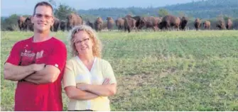  ??  ?? L’éleveuse de bisons Josée Toupin et son conjoint assurent que les consommate­urs apprécient la viande de qualité des grands gibiers. « Le défi consiste à réinventer la mise en marché », soutient Mme Toupin.