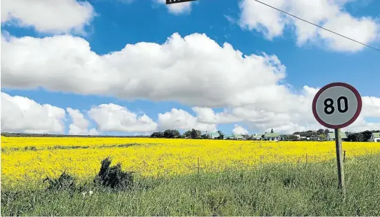  ?? Picture: Allison Foat ?? The canola fields outside Darling are in full bloom.