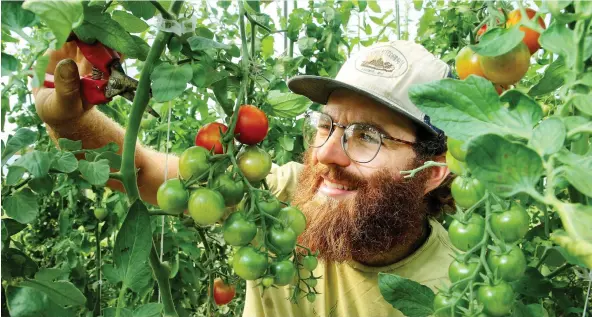  ?? PHOTOS: JULIE OLIVER ?? Urban micro-farm BeetBox’s VegBox CSA (community-supported agricultur­e) program sold out this year, and earned David Mazur-Goulet and his business partners, Jeremy Colbeck, above, and Lise-Anne Léveillé, $38,000 in revenue in its first year of operation.