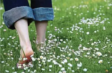  ?? Foto: Getty Images ?? Die Grasmilbe gelangt besonders leicht auf freie Hautstelle­n. Deshalb sollte man Schuhe, langärmeli­ge Hemden und lange Hosen im Freien auf der Wiese bevorzugen.