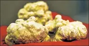  ??  ?? TOTALLY TUBER-LAR: This set of white truffles was sold at a charity auction in Italy Sunday.